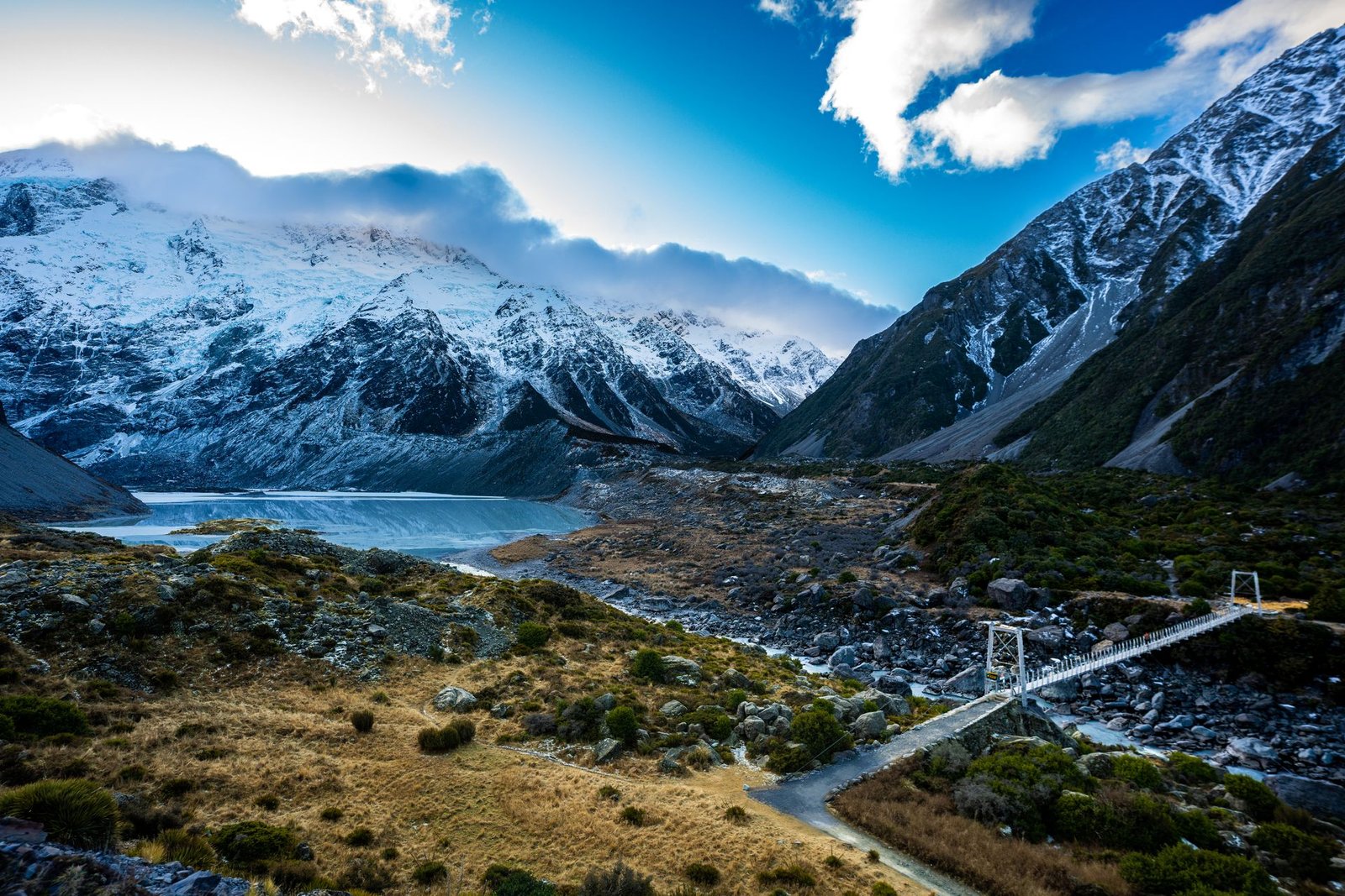 NZ banner image